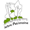 Arbre Patrimoine | Spécialiste de l'arbre & de la gestion de patrimoine arboré