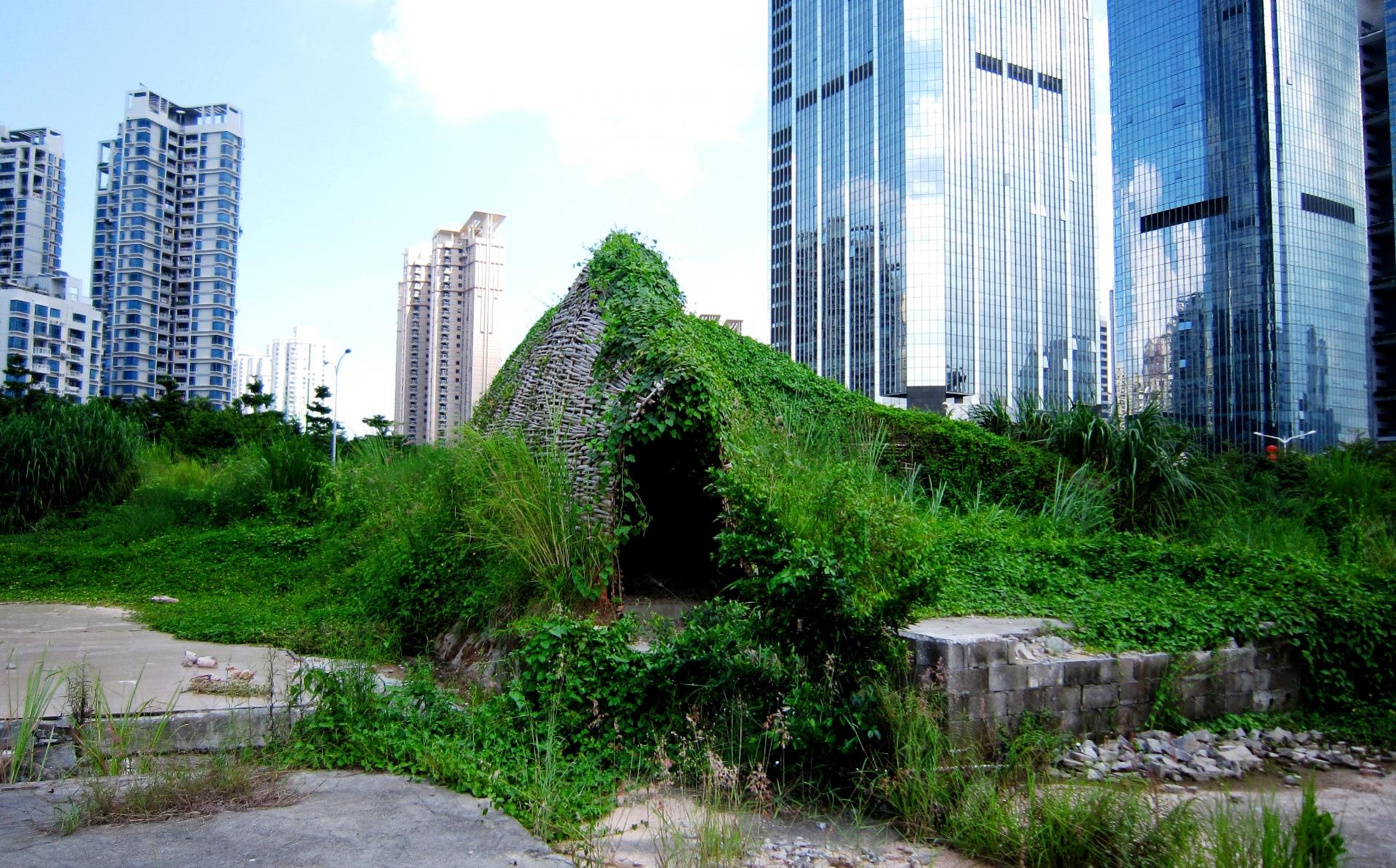 Bug dome by weak in shenzhen wikimedia commons