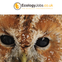 Ecology Jobs