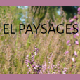 El paysages | Elodie Luchini