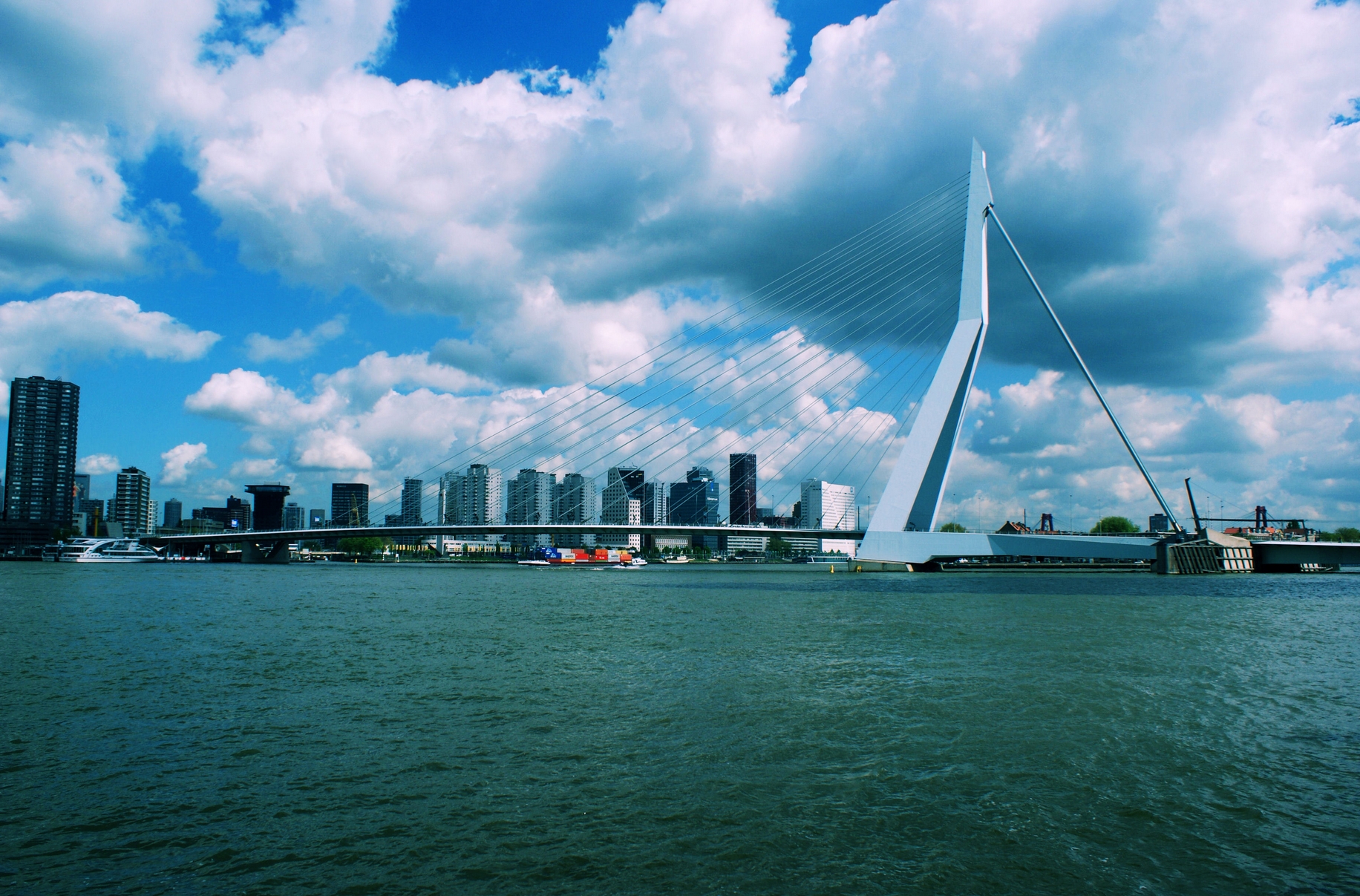Erasmusbrug 2015