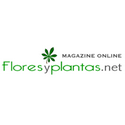 Flores y plantas | magazine online