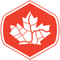 Go Geomatics Canada