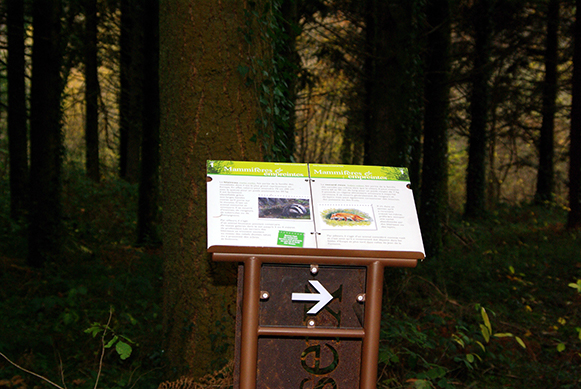 Illustration parcours d interpretation sentier des vaseix clement daignan pour le departement de la haute vienne 2_Atelier Impala