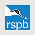 RSPB - Royal Society for the Protection of Birds