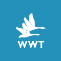 WWT - Wildfowl & Wetland Trust